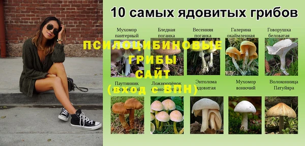 меф Богданович