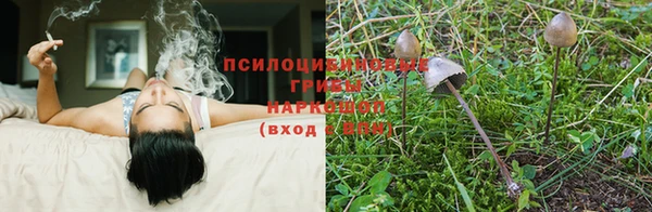 MDMA Богородицк