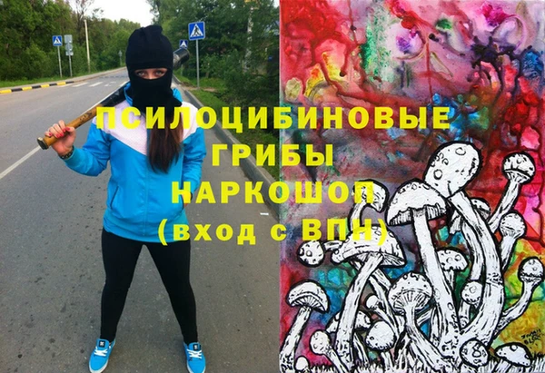 гидропоника Богородск