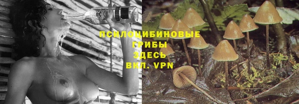 меф Богданович